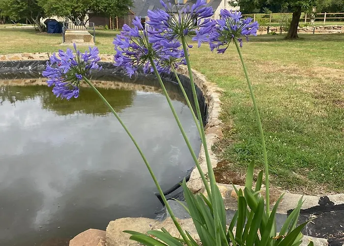 Confortable à La Campagne, 2 Chambres, Vue Dégagée - Fr-1-622-118 Baugé